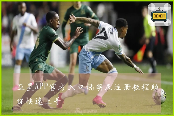 亚星APP官方入口说明及注册教程助你快速上手
